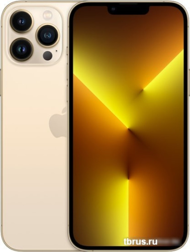 Смартфон Apple iPhone 13 Pro Max 256GB (золотой) фото 3