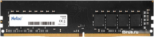 Оперативная память Netac Basic 8ГБ DDR5 4800 МГц NTBSD5P48SP-08 фото 3