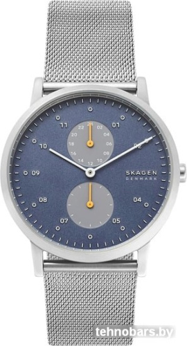 Наручные часы Skagen SKW6525 фото 3