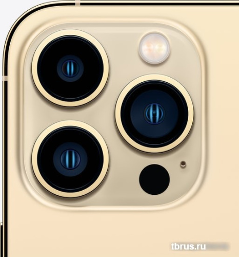 Смартфон Apple iPhone 13 Pro Max 256GB (золотой) фото 6