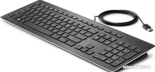 Клавиатура HP USB Premium Keyboard фото 4