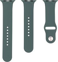 Ремешок Evolution AW44-S01 для Apple Watch 42/44 мм (pine needle green)