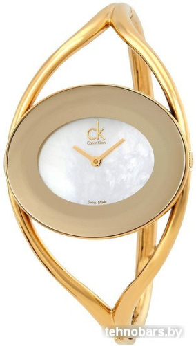 Наручные часы Calvin Klein K1A2381G фото 3