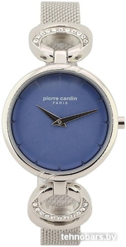 Наручные часы Pierre Cardin PC902752F02 фото 3