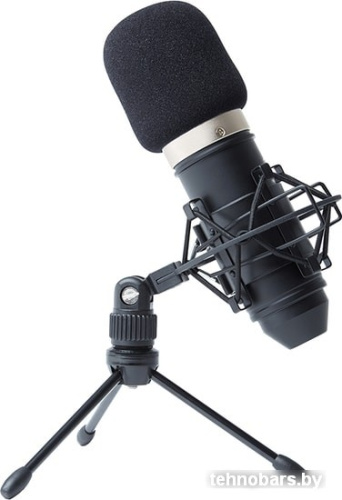 Микрофон Marantz MPM-1000 фото 3