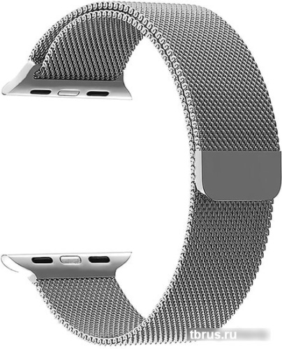 Ремешок Lyambda Capella для Apple Watch 42-44 мм (серебристый) фото 3