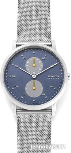 Наручные часы Skagen SKW6525 фото 4
