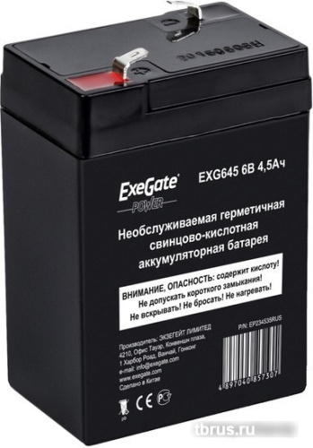 Аккумулятор для ИБП ExeGate Power EXG 645 (6В/4.5 А·ч) [EP234535RUS] фото 3