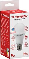 Светодиодная лампочка Thomson Led A60 TH-B2162
