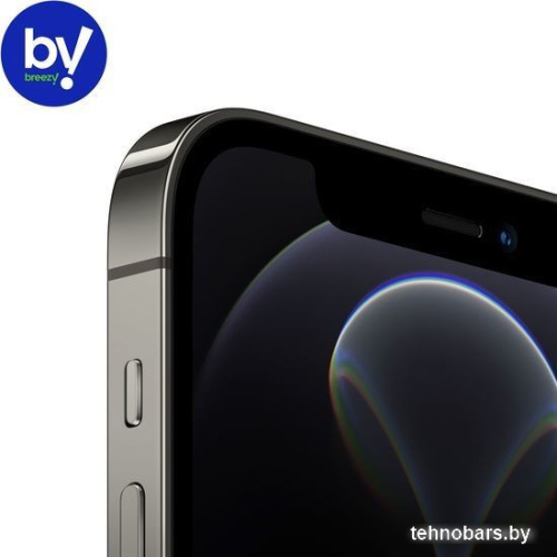 Смартфон Apple iPhone 12 Pro 256GB Восстановленный by Breezy, грейд C (графитовый) фото 4
