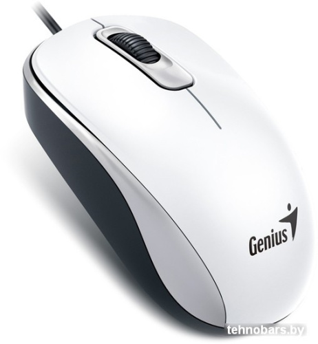 Мышь Genius DX-120 (белый) фото 4