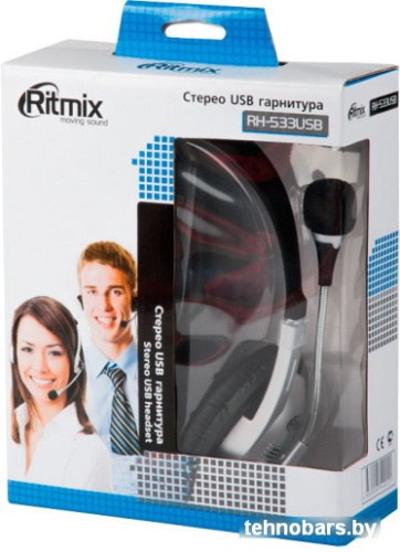 Наушники Ritmix RH-533 USB (серебристый) фото 4