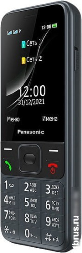 Мобильный телефон Panasonic KX-TF200RU (серый) фото 6