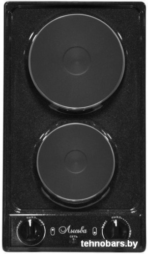 Настольная плита Лысьва ЭПБ 22 (рябчик черный) фото 3