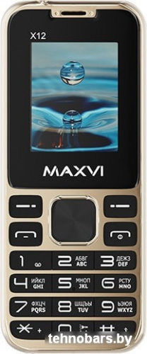 Мобильный телефон Maxvi X12 (золотистый) фото 4