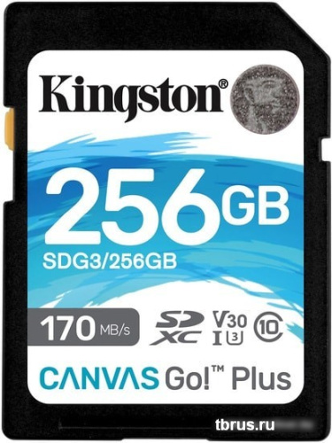 Карта памяти Kingston Canvas Go! Plus SDXC 256GB фото 3