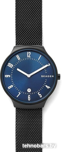 Наручные часы Skagen SKW6461 фото 4