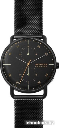 Наручные часы Skagen SKW6538 фото 3
