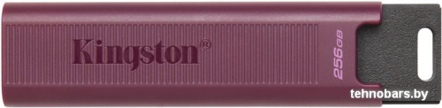 USB Flash Kingston DataTraveler Max Type-A 256GB фото 3