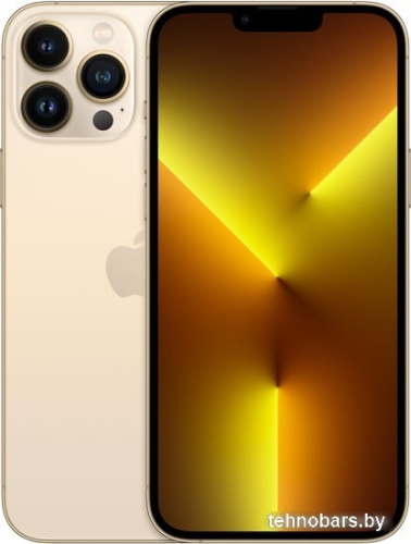 Смартфон Apple iPhone 13 Pro Max 256GB Восстановленный by Breezy, грейд A (золотистый) фото 3