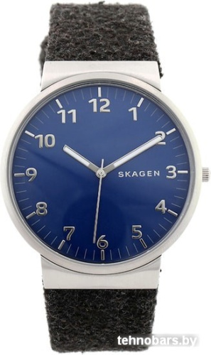 Наручные часы Skagen SKW6232 фото 3