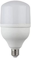 Светодиодная лампа ЭРА LED E27 40 Вт 6500 К Б0027006