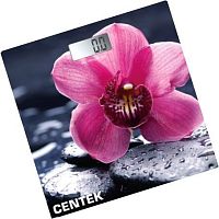 Напольные весы CENTEK CT-2421 (цветок)