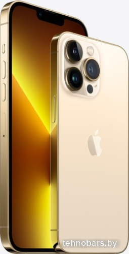 Смартфон Apple iPhone 13 Pro Max 256GB Восстановленный by Breezy, грейд A (золотистый) фото 5