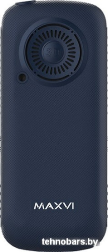 Мобильный телефон Maxvi B21ds (синий) фото 5