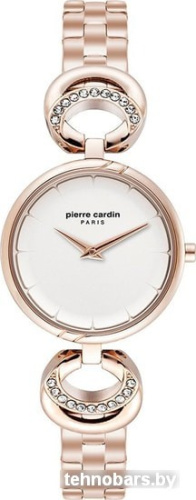 Наручные часы Pierre Cardin PC902752F07 фото 3