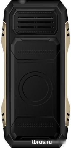 Мобильный телефон TeXet TM-D424 (черный) фото 5