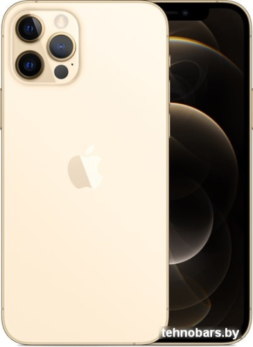 Смартфон Apple iPhone 12 Pro 512GB (золотой) фото 3