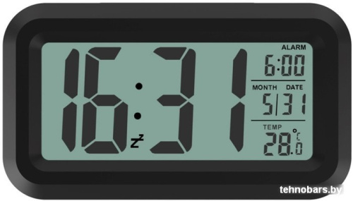 Радиочасы Ritmix CAT-100 (черный) фото 4