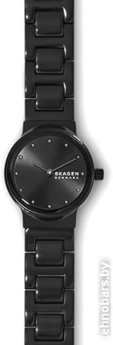 Наручные часы Skagen SKW2830 фото 4