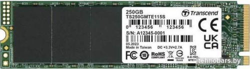 SSD Transcend 115S 250GB TS250GMTE115S фото 3