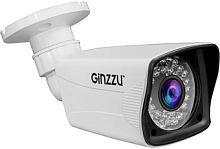 CCTV-камера Ginzzu HAB-2036P