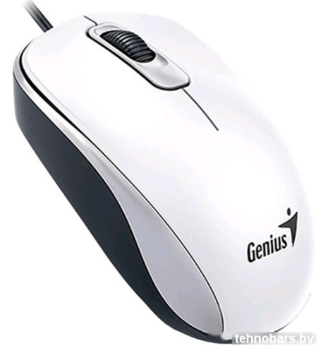 Мышь Genius DX-110 (белый) фото 4