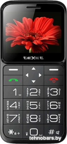 Мобильный телефон TeXet TM-В226 (черный) фото 4