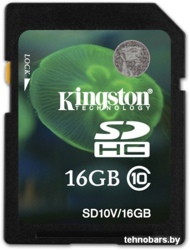 Карта памяти Kingston SDHC (Class 10) 16 Гб (SD10V/16GB) фото 3