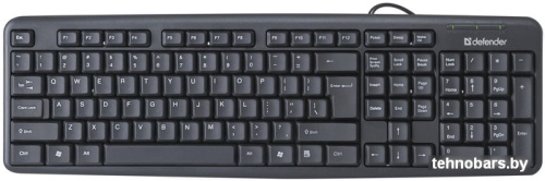 Клавиатура Defender Element HB-520 USB (черный) фото 3