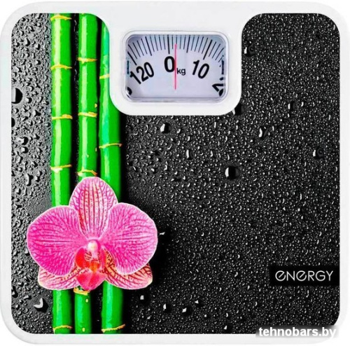 Напольные весы Energy ENM-409D фото 3