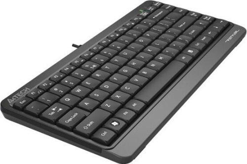 Клавиатура A4Tech Fstyler FK11 (серый) фото 5
