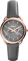 Наручные часы Fossil ES3913