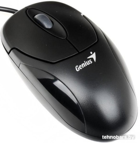 Мышь Genius Xscroll V3 (черный) фото 3