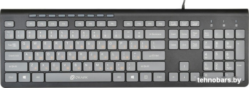 Клавиатура Oklick 480M (черный/серый) фото 3