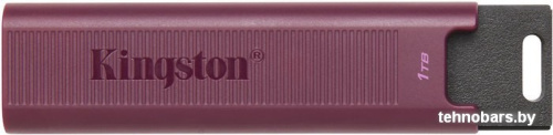 USB Flash Kingston DataTraveler Max Type-A 1TB фото 3