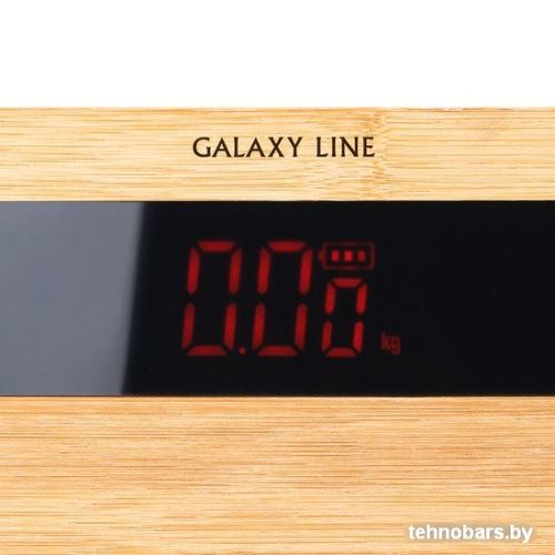Напольные весы Galaxy Line GL4823 фото 4