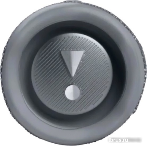 Беспроводная колонка JBL Flip 6 (серый) фото 6