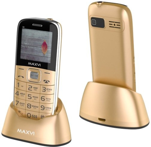 Мобильный телефон Maxvi B6 (золотистый) фото 4
