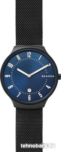Наручные часы Skagen SKW6461 фото 3
